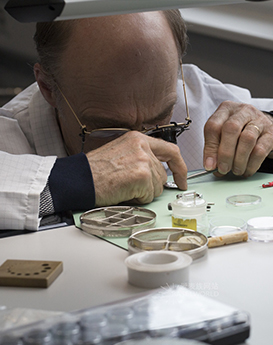 杰兰·埃文斯-深圳尊皇维修中心制表师